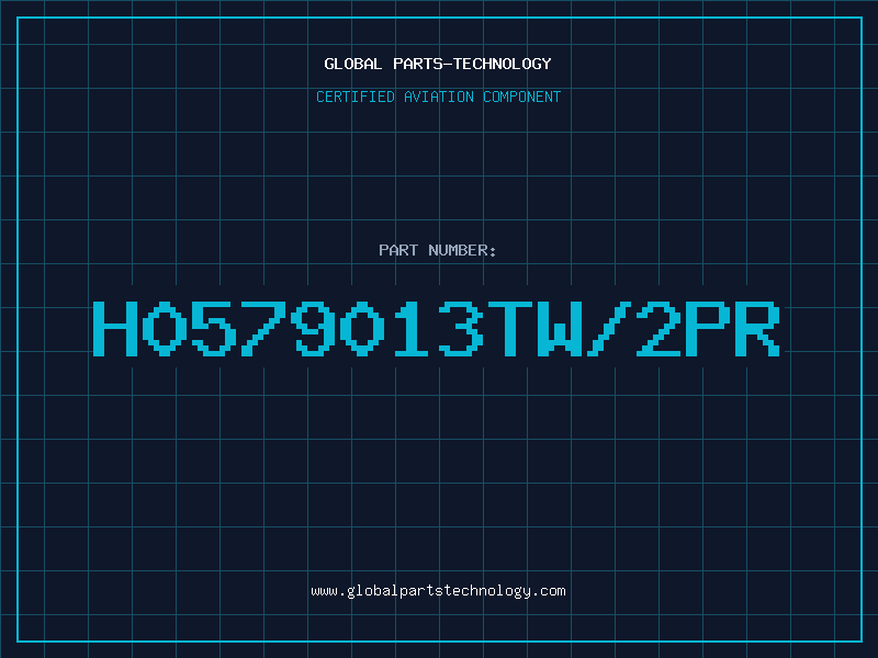 Aviation Part H0579013TW/2PR