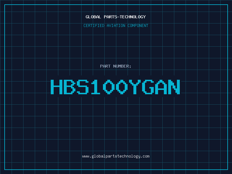 Aviation Part HBS100YGAN