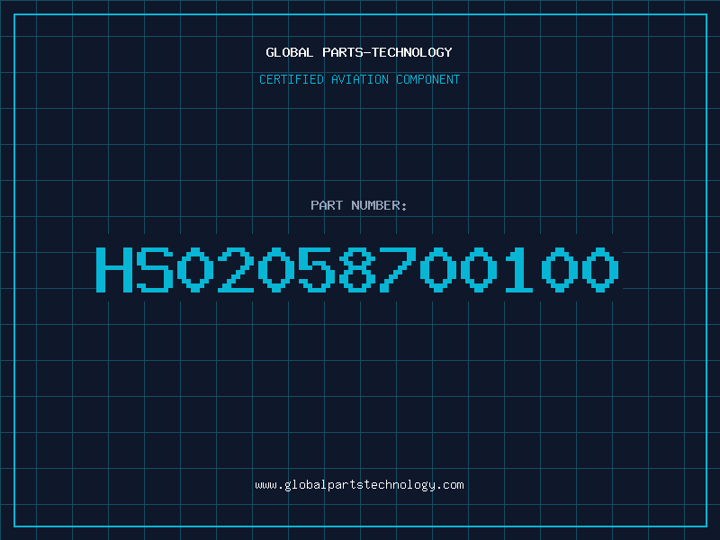 Aviation Part HS02058700100
