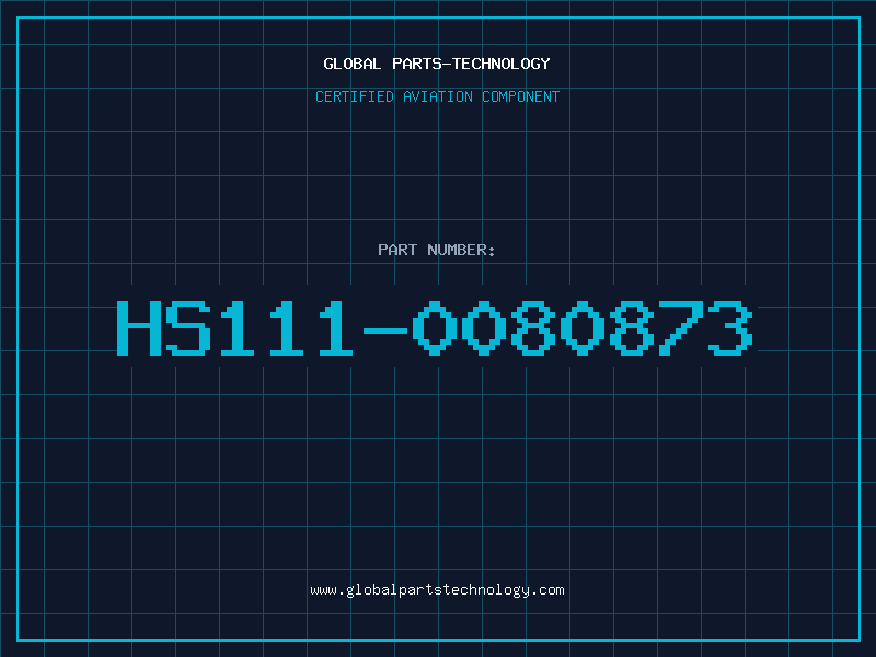Aviation Part HS111-0080873
