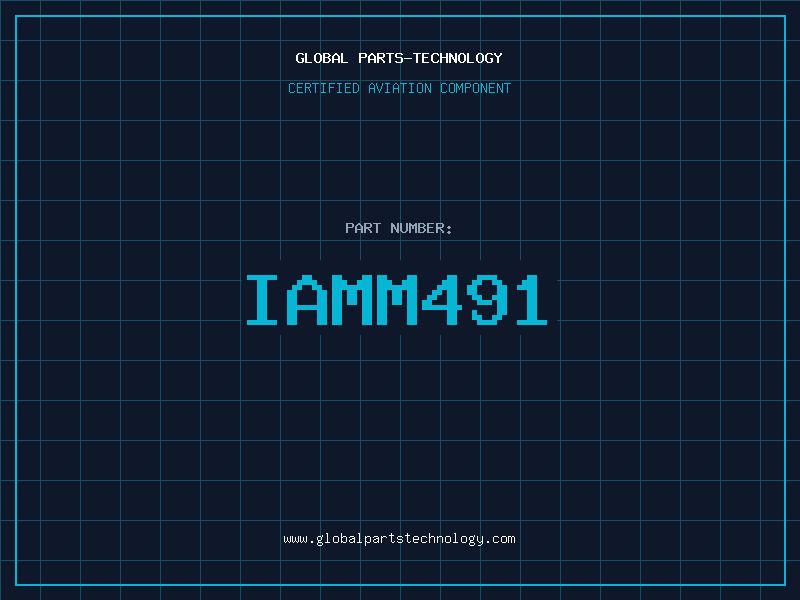 Aviation Part IAMM491