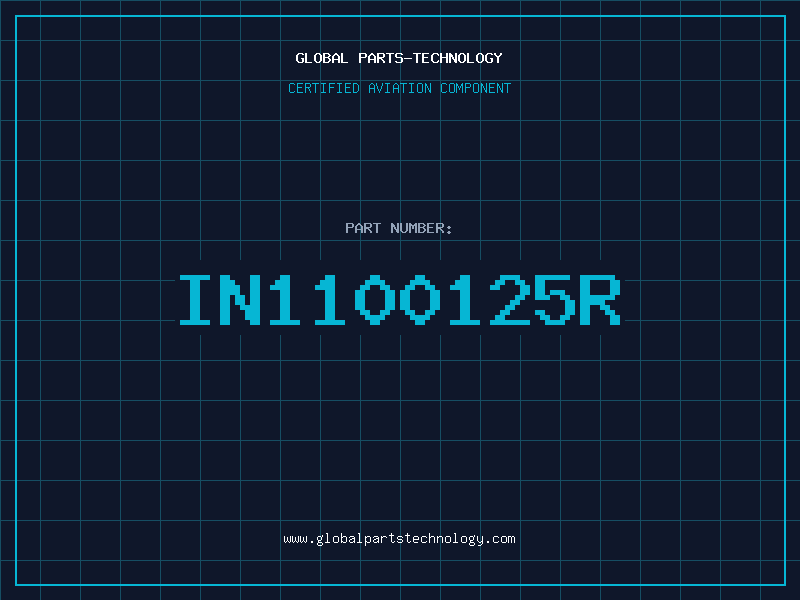 Aviation Part IN1100125R