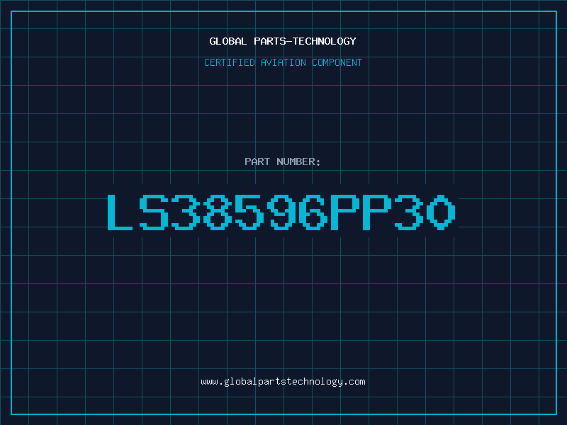 Aviation Part LS38596PP30