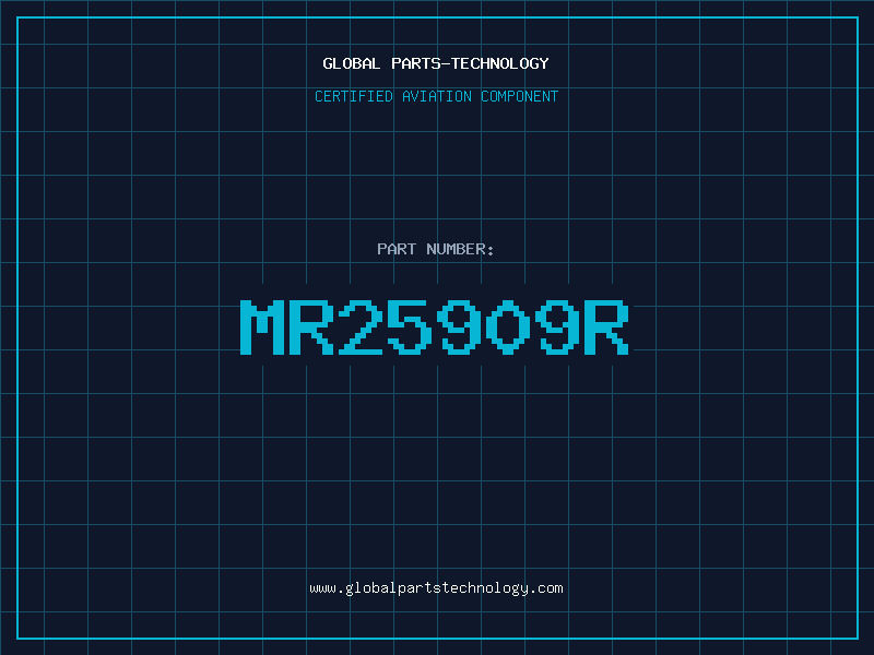 Aviation Part MR25909R