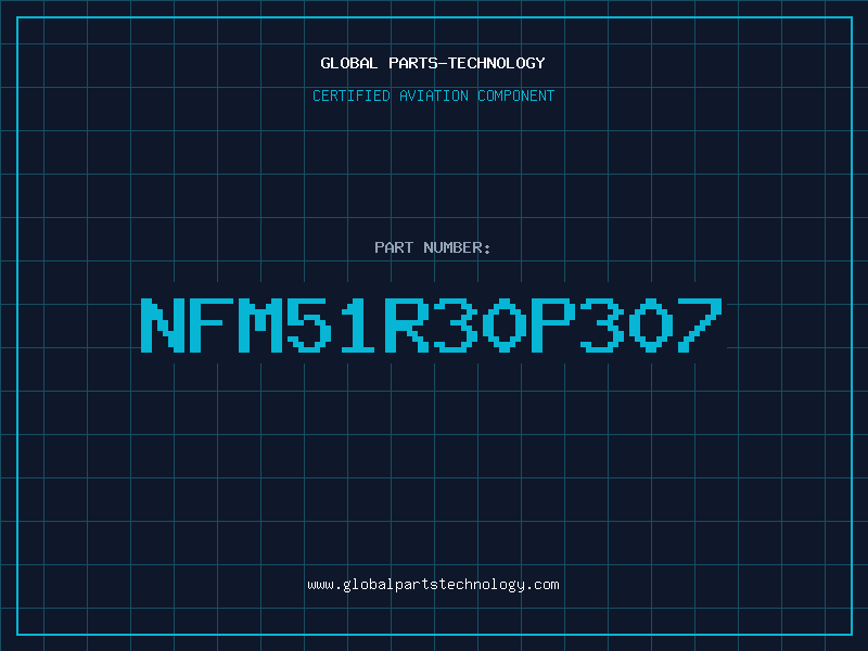 Aviation Part NFM51R30P307