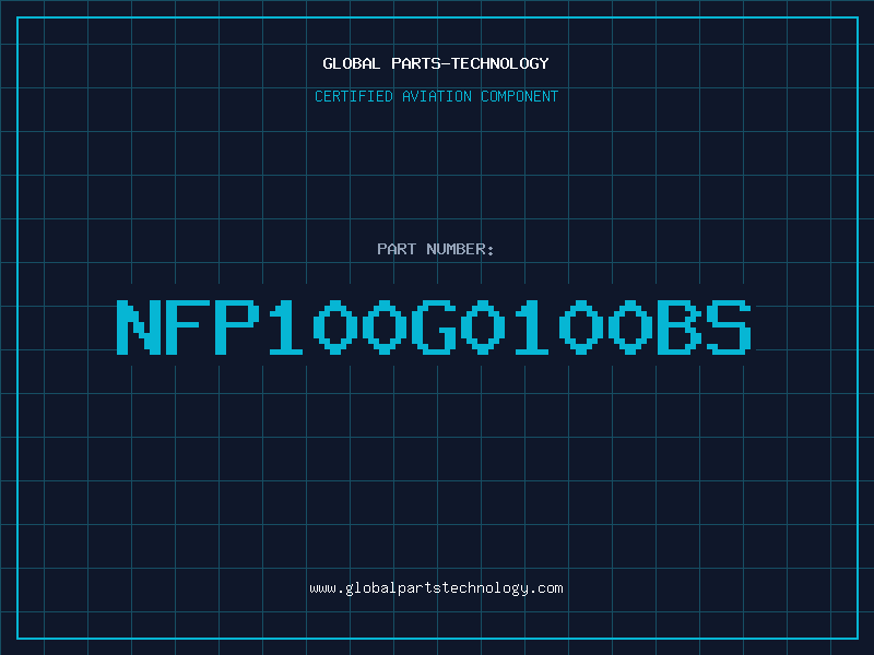 Aviation Part NFP100G0100BS