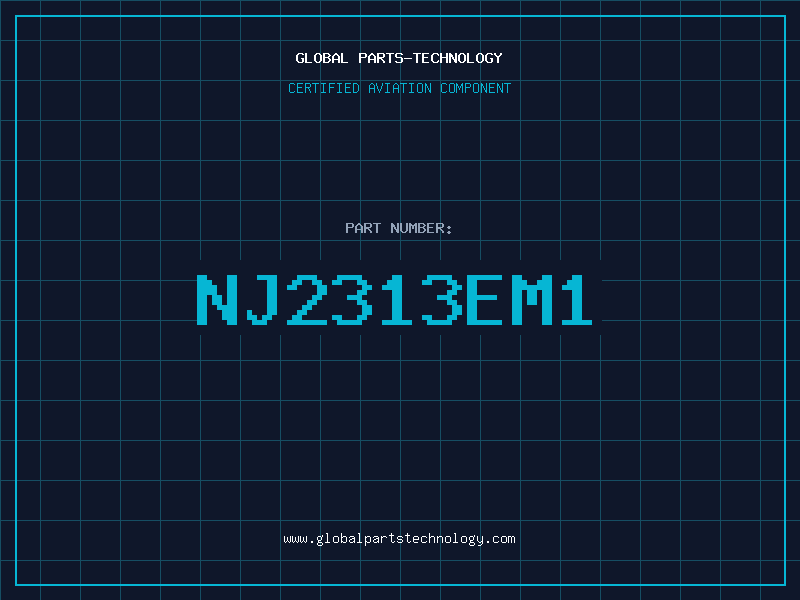 Aviation Part NJ2313EM1