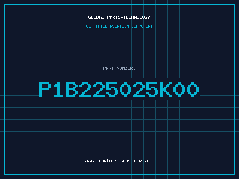 Aviation Part P1B225025K00