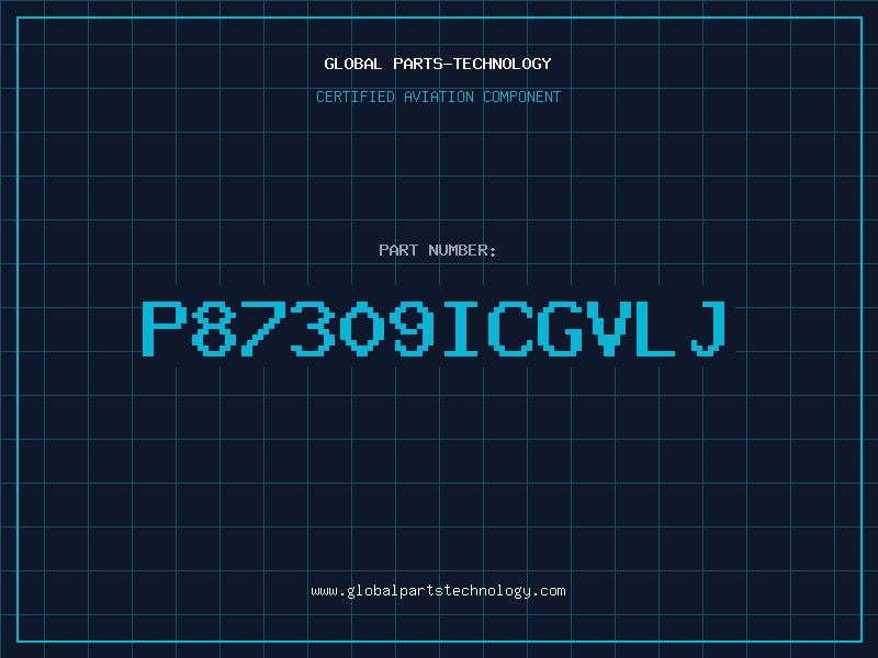 Aviation Part P87309ICGVLJ