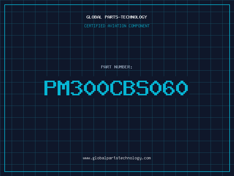 Aviation Part PM300CBS060