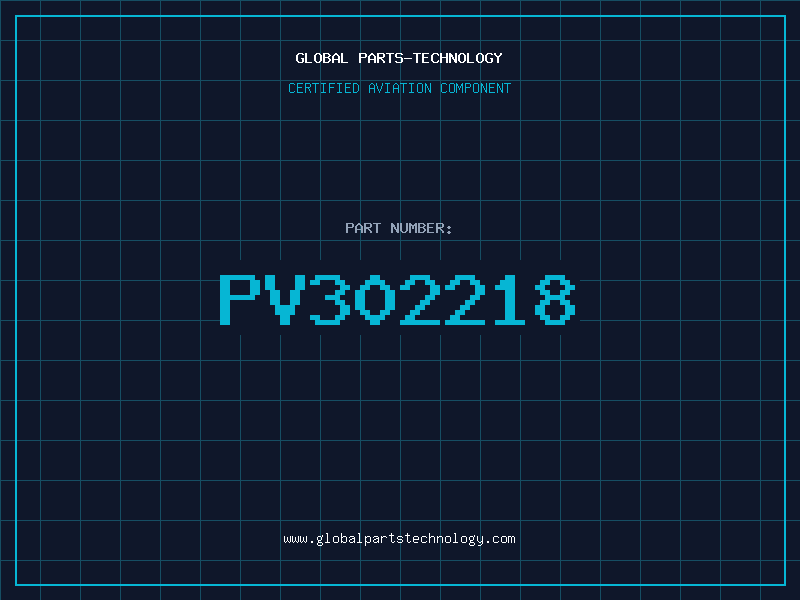 Aviation Part PV302218