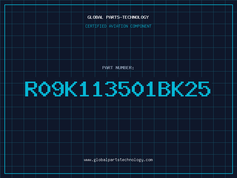 Aviation Part R09K113501BK25