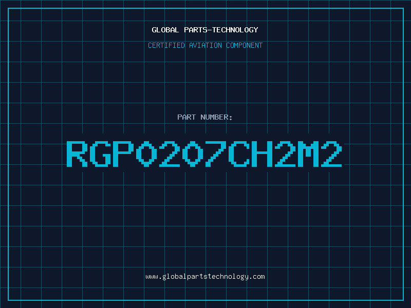 Aviation Part RGP0207CH2M2