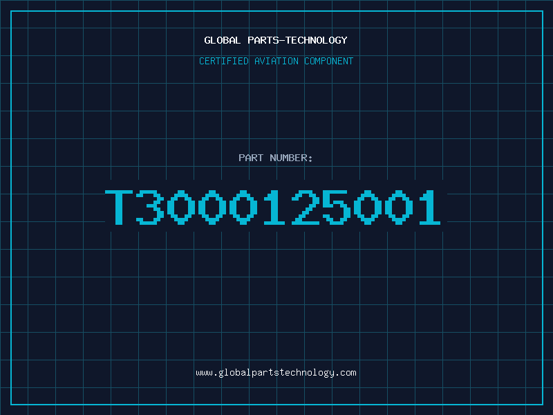 Aviation Part T3000125001