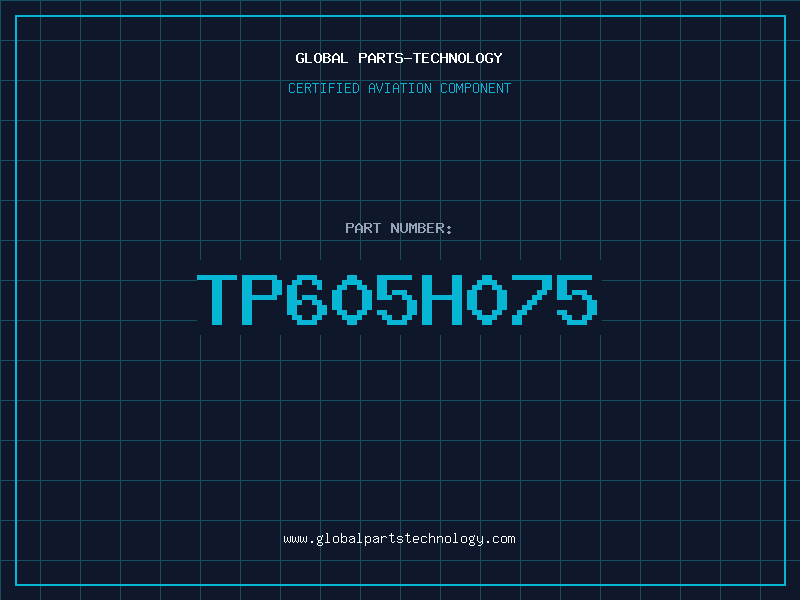 Aviation Part TP605H075