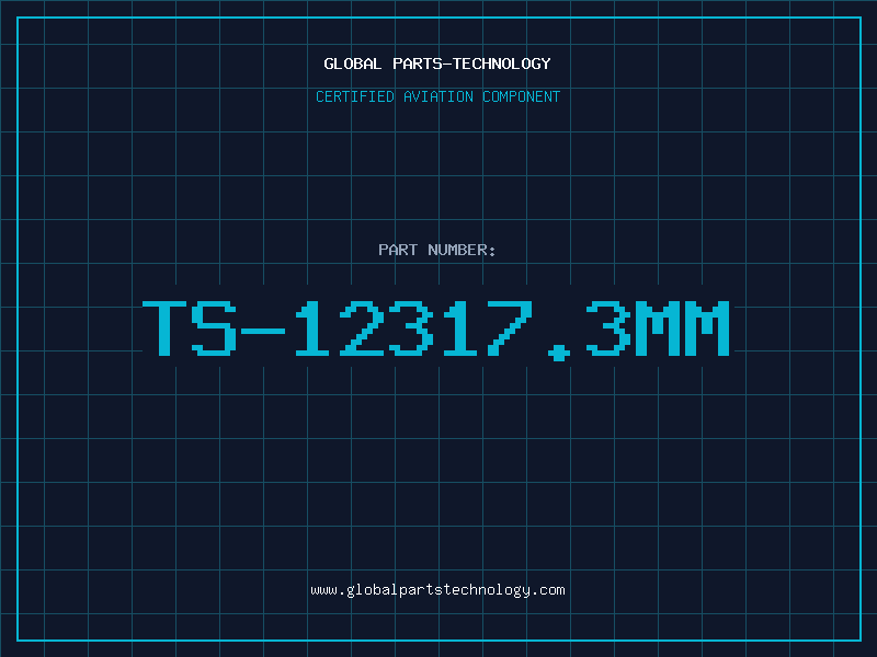 Aviation Part TS-12317.3MM