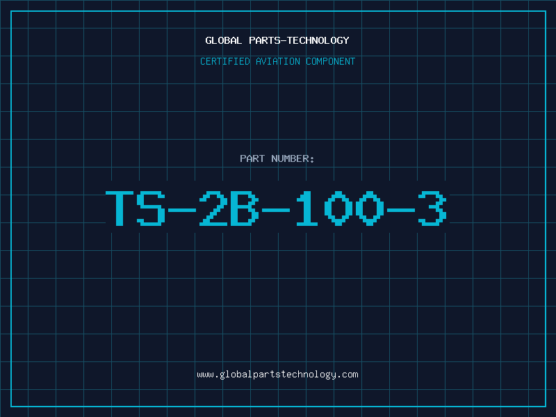 Aviation Part TS-2B-100-3