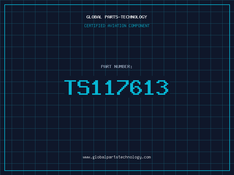 Aviation Part TS117613