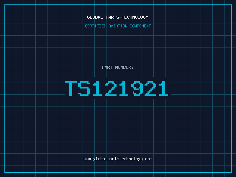 Aviation Part TS121921