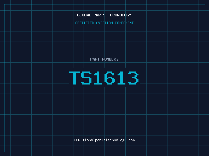 Aviation Part TS1613