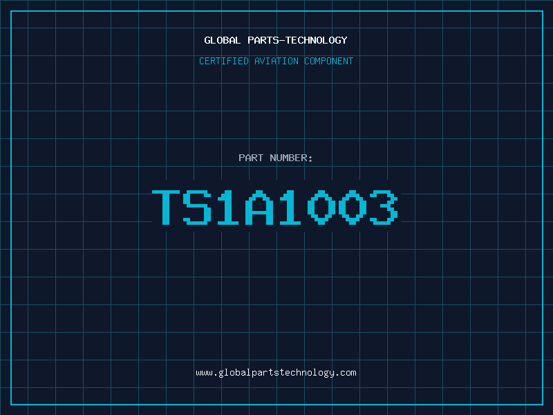 Aviation Part TS1A1003