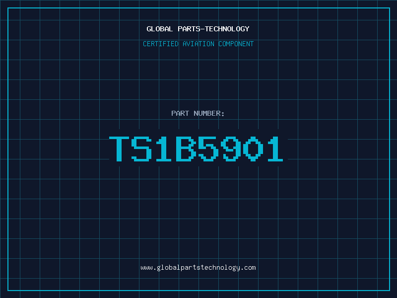 Aviation Part TS1B5901