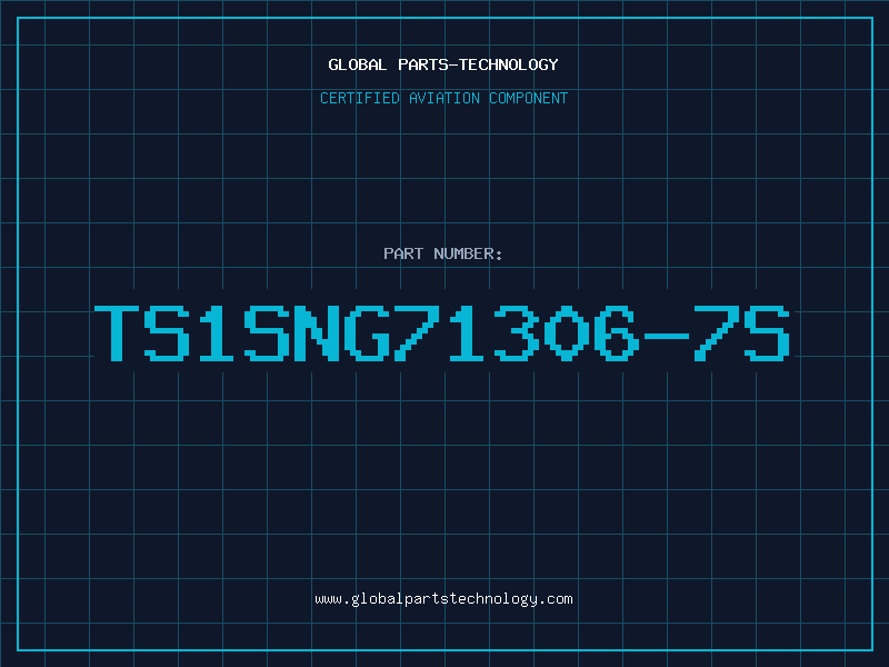 Aviation Part TS1SNG71306-7S