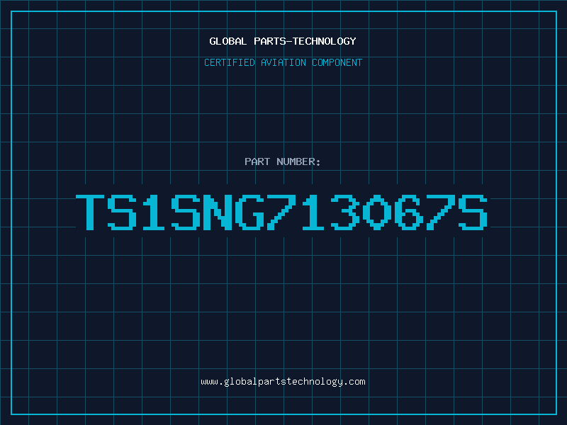 Aviation Part TS1SNG713067S