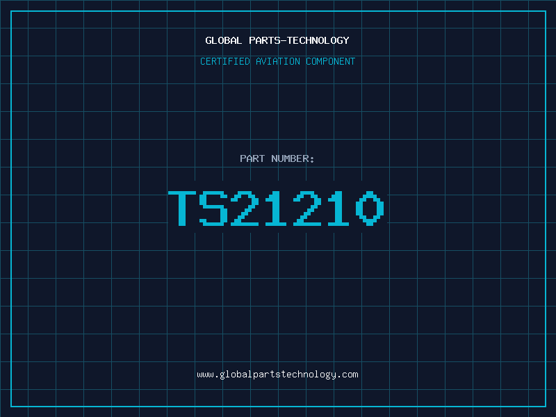 Aviation Part TS21210