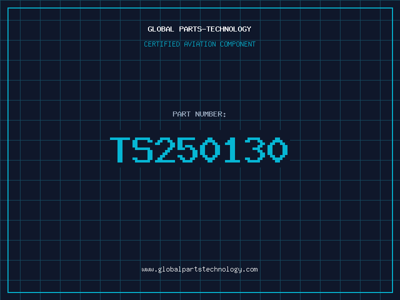 Aviation Part TS250130