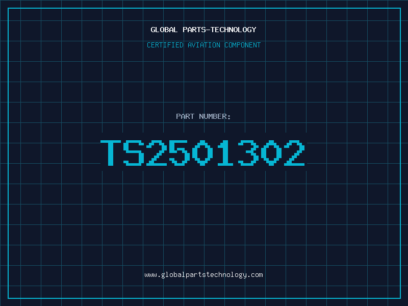 Aviation Part TS2501302