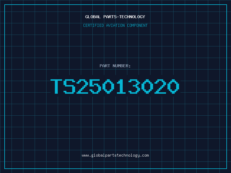 Aviation Part TS25013020