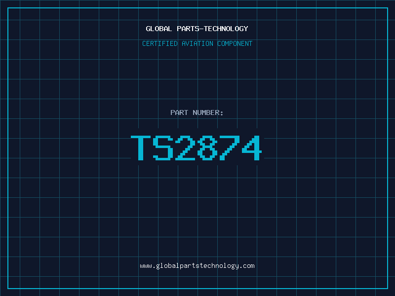 Aviation Part TS2874