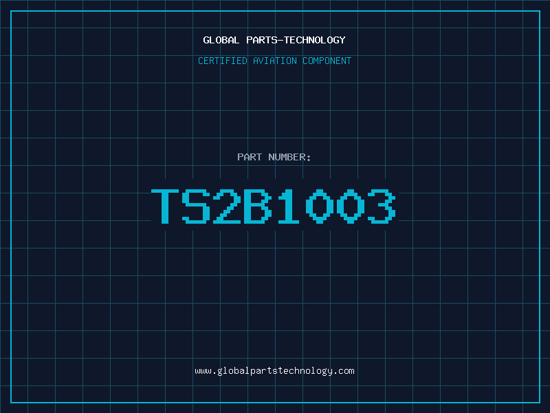 Aviation Part TS2B1003