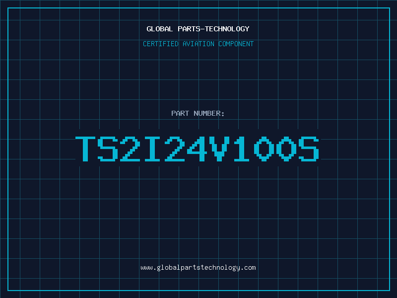 Aviation Part TS2I24V100S