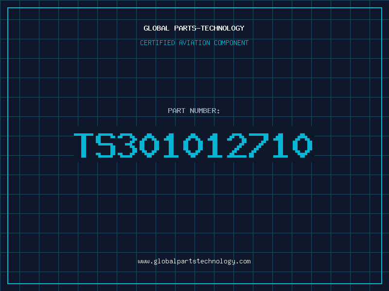 Aviation Part TS301012710