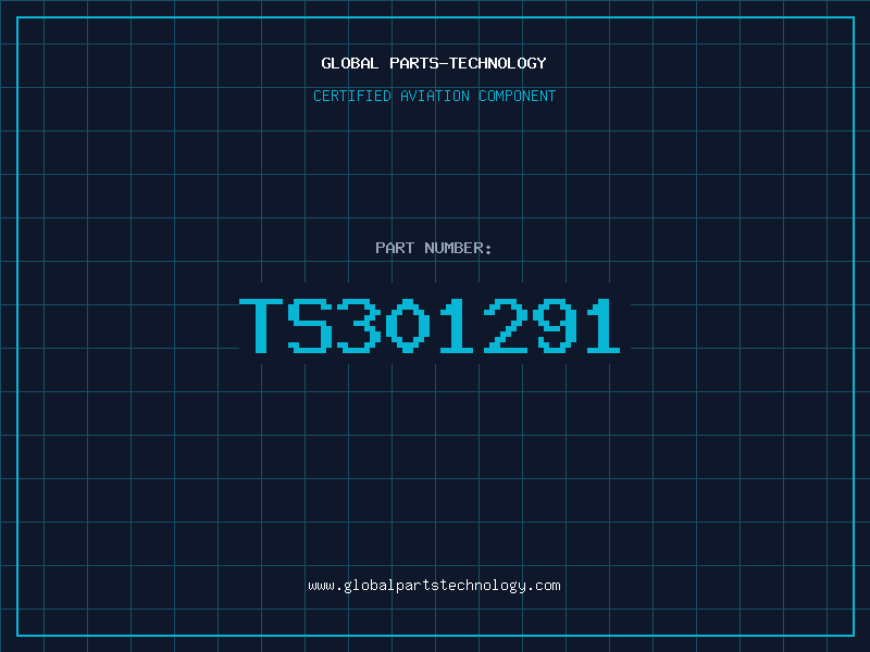 Aviation Part TS301291