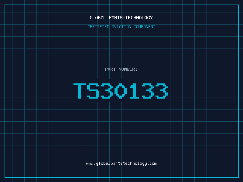 Aviation Part TS30133