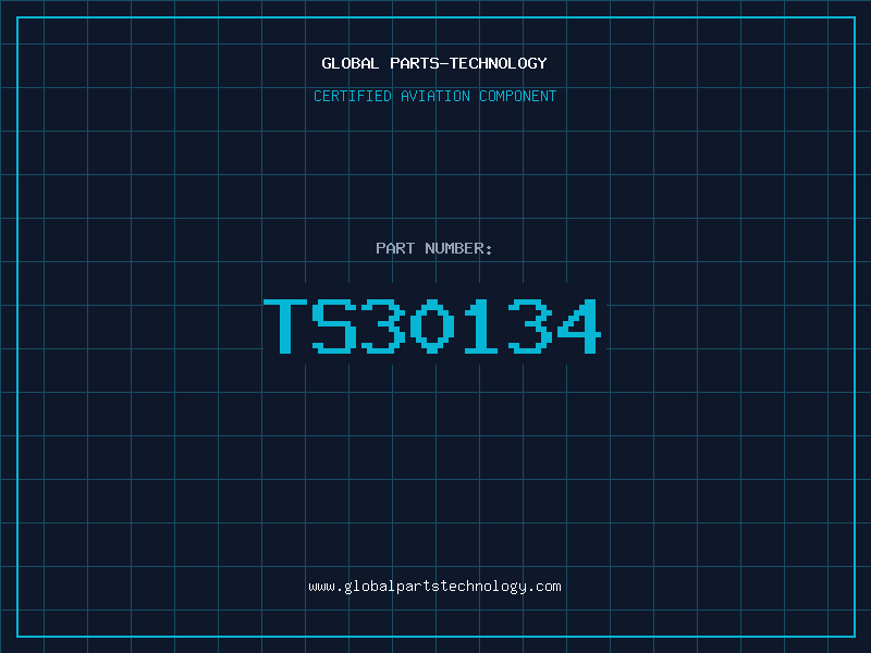 Aviation Part TS30134