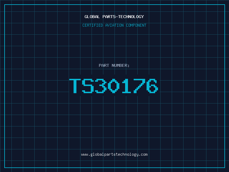 Aviation Part TS30176