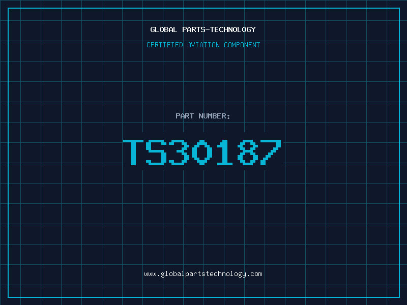 Aviation Part TS30187