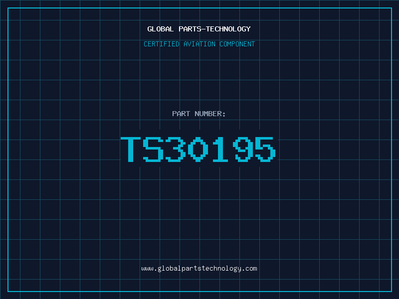 Aviation Part TS30195