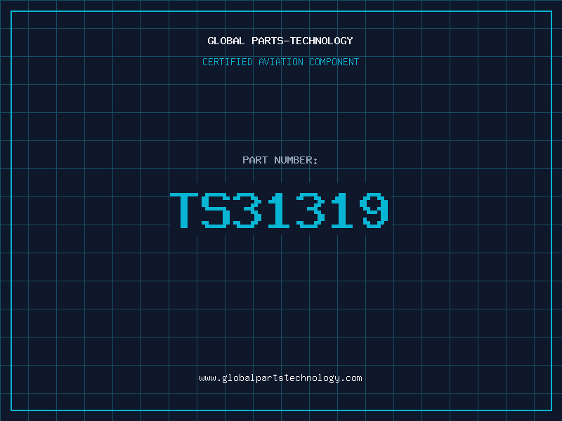 Aviation Part TS31319