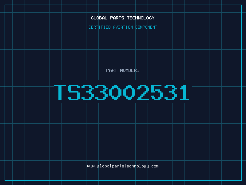 Aviation Part TS33002531
