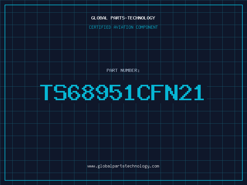 Aviation Part TS68951CFN21