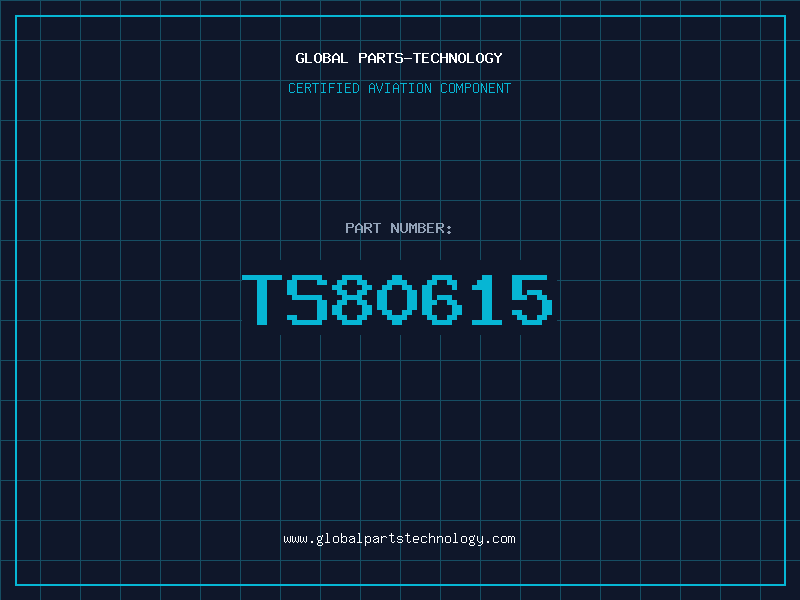 Aviation Part TS80615