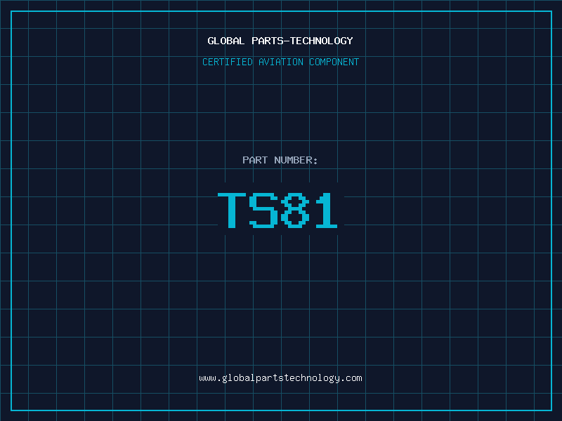 Aviation Part TS81