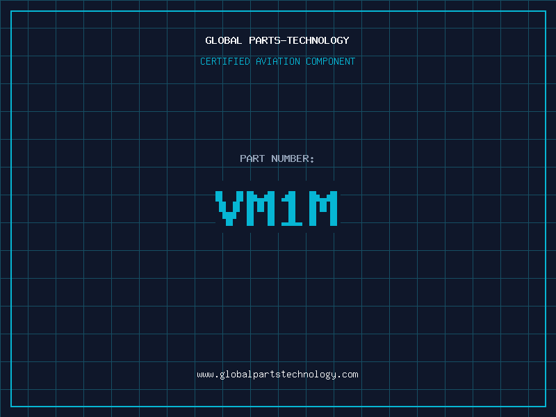 Aviation Part VM1M