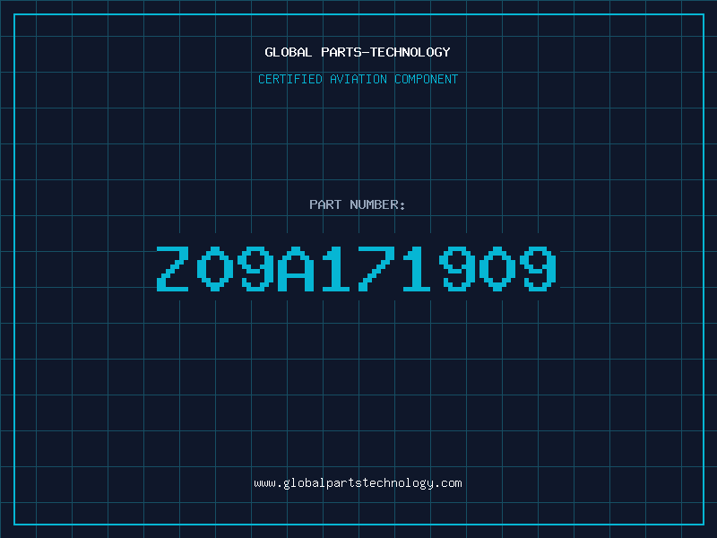 Aviation Part Z09A171909