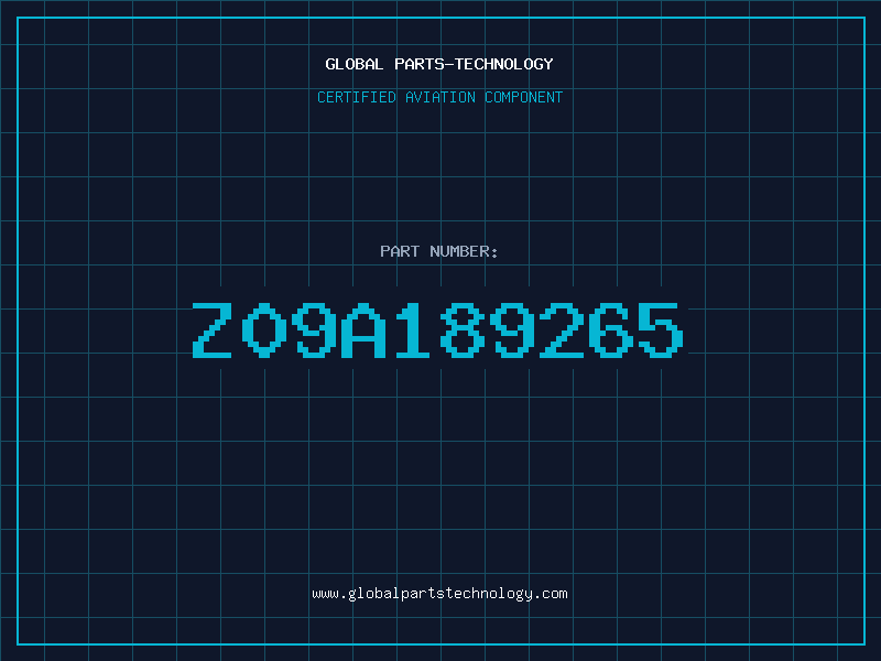 Aviation Part Z09A189265